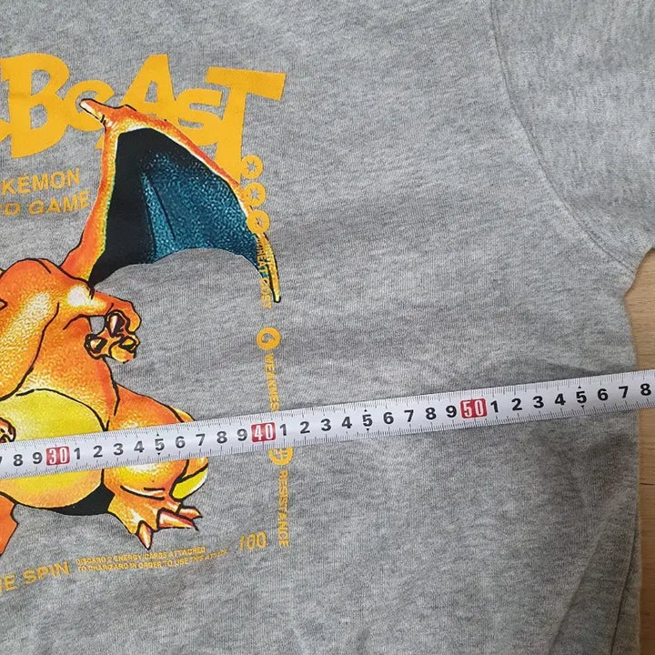 [BUNJANG] Hypbeast Pokemon 25th Anniversary Hoodie L / 새제품포켓몬스터 하입비스트 25주년후드티L