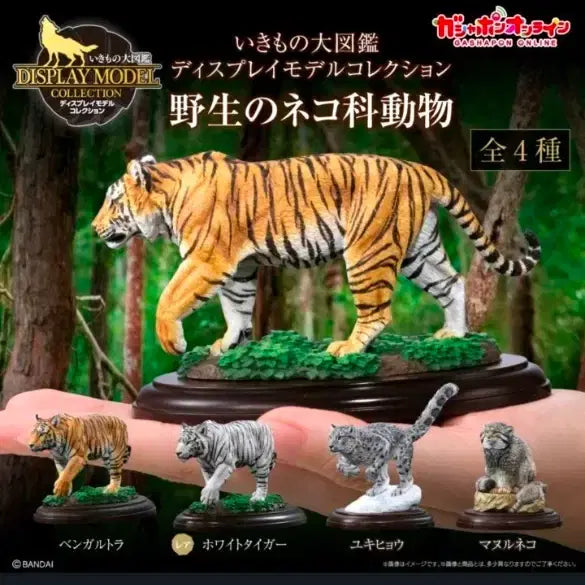 [BUNJANG] Bandai Wildlife Wild Felidae Bengal Tiger / 생물대도감 야생고양이과동물