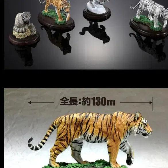 [BUNJANG] Bandai Wildlife Wild Felidae Bengal Tiger / 생물대도감 야생고양이과동물