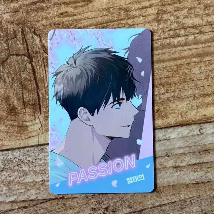 [SOLD OUT] 녹티아 팝업 패션 유우지 태의 포토카드 양도