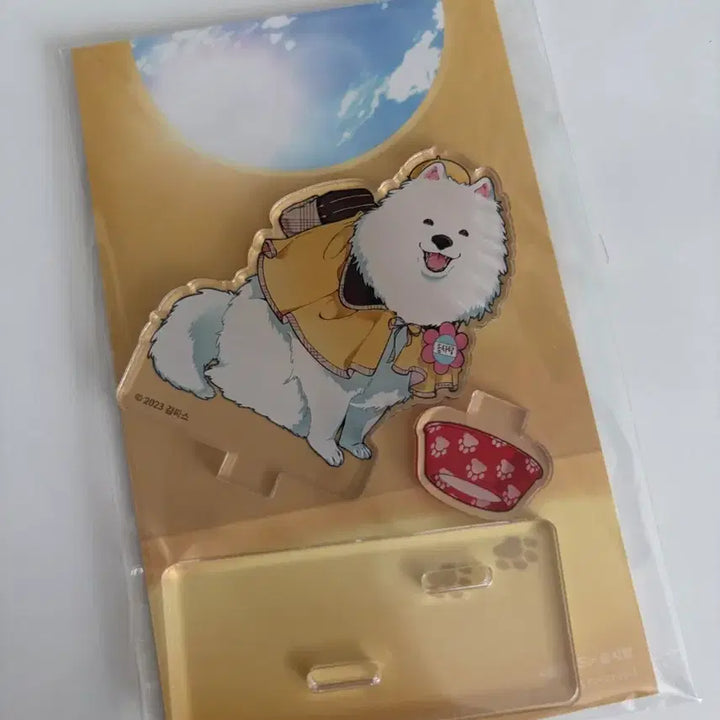 [SOLD OUT] 클라우드 솜사탕 아크릴 포카 포함, 증명사진 증사 개봉 일괄