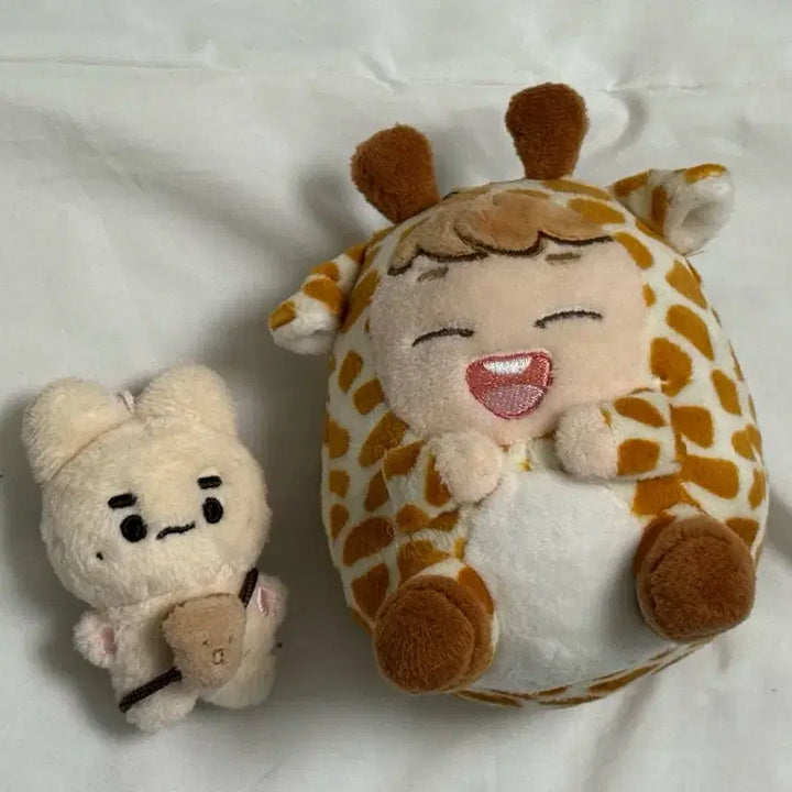 [BUNJANG] Onew (SHINee) Kongjjpang Jinki-ring Doll Bundle Set / 온유 인형 콩찡빵 진기링 일괄판매