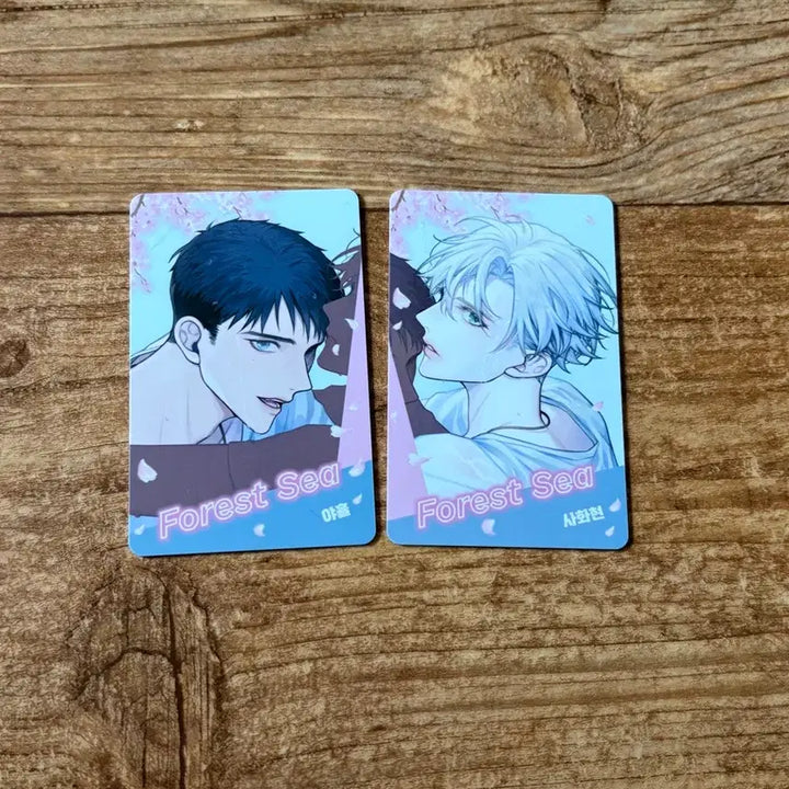 [BUNJANG] NCT Dream Kiosk Forest Sea Bundle Set Photocard / 녹티아 팝업 키오스크 랜포 랜덤 포토카드 숲바다 일괄