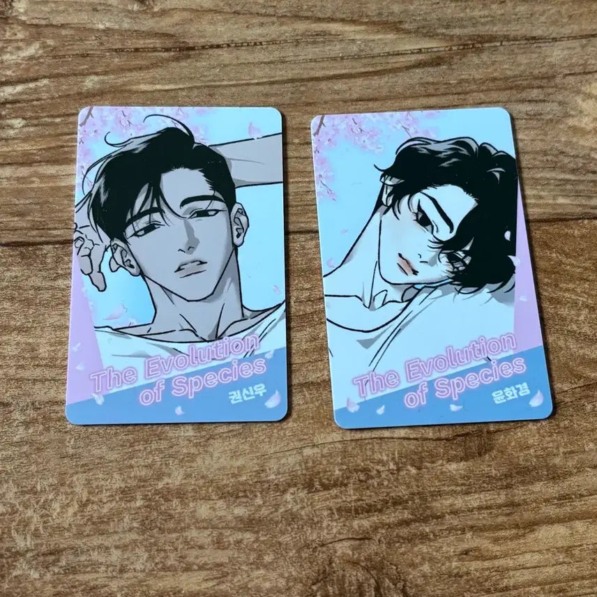 [BUNJANG] NCT Dream Jongwoo Jin Hwa Random Photocard Bundle Set / 녹티아 팝업 키오스크 랜포 랜덤 포토카드 종의진화 일괄