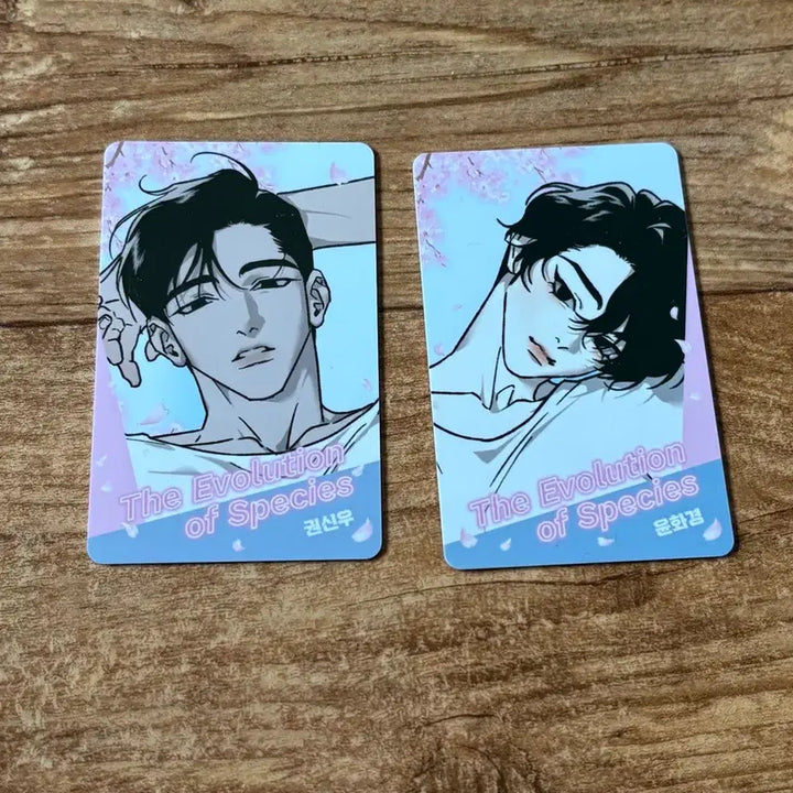 [BUNJANG] NCT Dream Jongwoo Jin Hwa Random Photocard Bundle Set / 녹티아 팝업 키오스크 랜포 랜덤 포토카드 종의진화 일괄