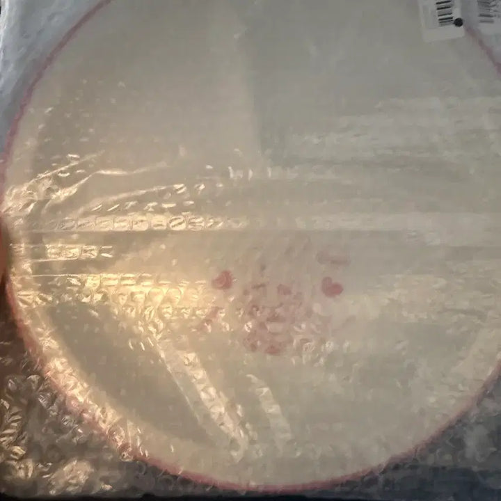 [BUNJANG] Hololive Roboco 4th Anniversary Limited Design Plate / 로보코 활동 4주년 기념 한정 디자인 플레이트