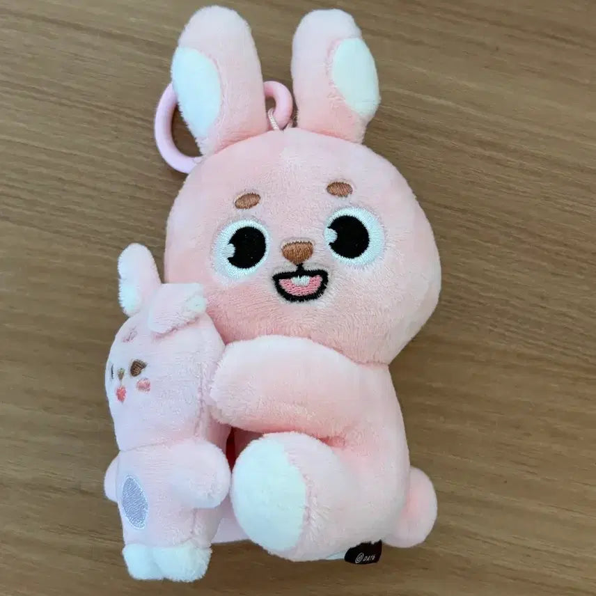 [SOLD OUT] 나안아 필 데니멀즈 김원필 데이식스