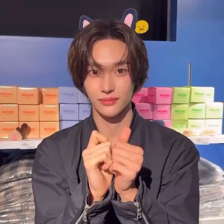 [BUNJANG] RIIZE Tokyo Dome Tonyangduck Hairpin Hair Clip / (미개봉) 라이즈 도쿄돔 토냥덕 헤어핀 헤어클립