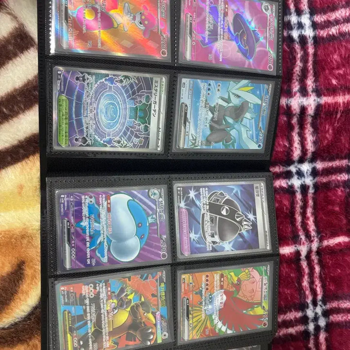 [BUNJANG] Pokemon Card Album / 포켓몬카드 앨범 급처!!!!!!!!!!!