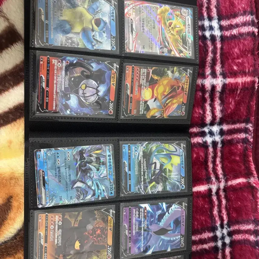 [BUNJANG] Pokemon Card Album / 포켓몬카드 앨범 급처!!!!!!!!!!!