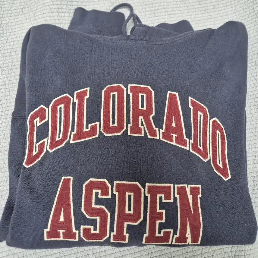 [BUNJANG] Brandy Melville Colorado Hoodie Navy / 브랜디멜빌 콜로라도 후드티 네이비
