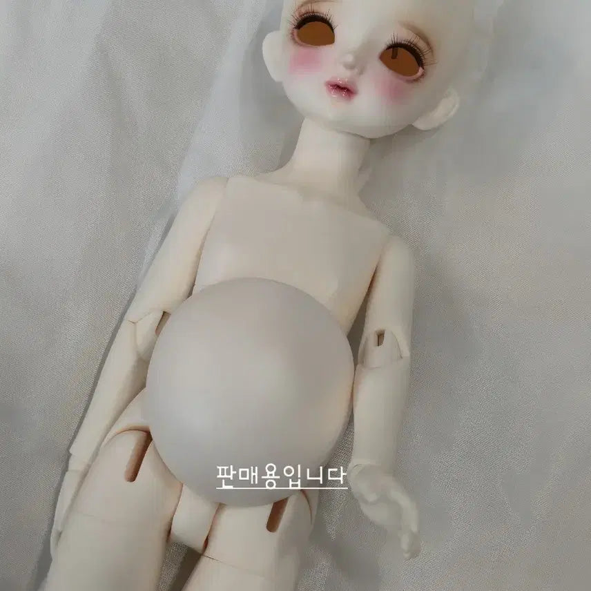 [SOLD OUT] 치카비 베이비멜로디 31바디 본체