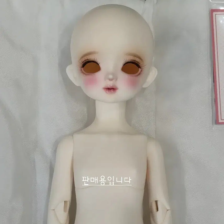 [SOLD OUT] 치카비 베이비멜로디 31바디 본체