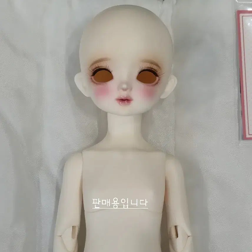 [SOLD OUT] 치카비 베이비멜로디 31바디 본체