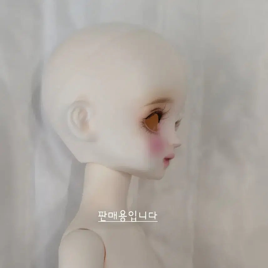 [SOLD OUT] 치카비 베이비멜로디 31바디 본체