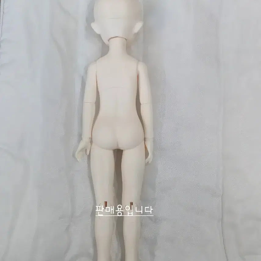 [SOLD OUT] 치카비 베이비멜로디 31바디 본체
