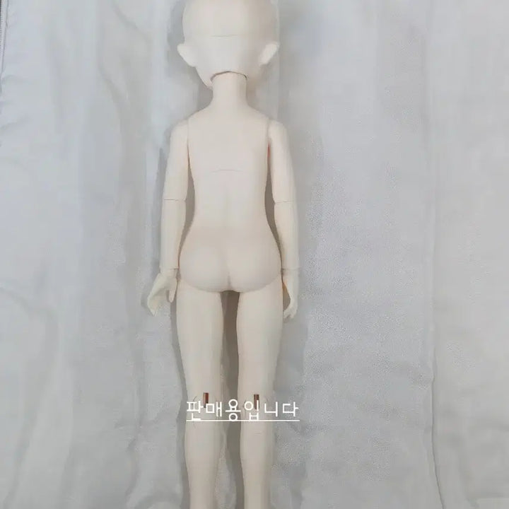 [SOLD OUT] 치카비 베이비멜로디 31바디 본체