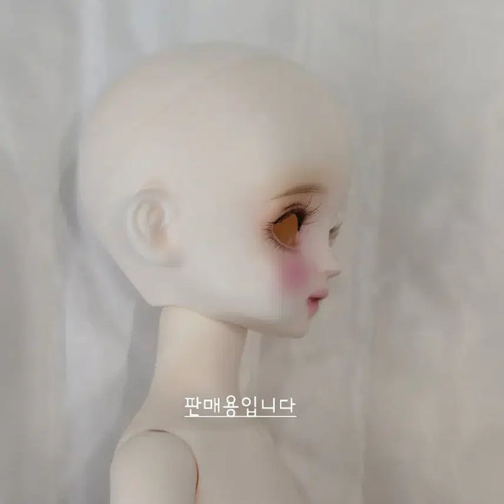 [SOLD OUT] 치카비 베이비멜로디 31바디 본체