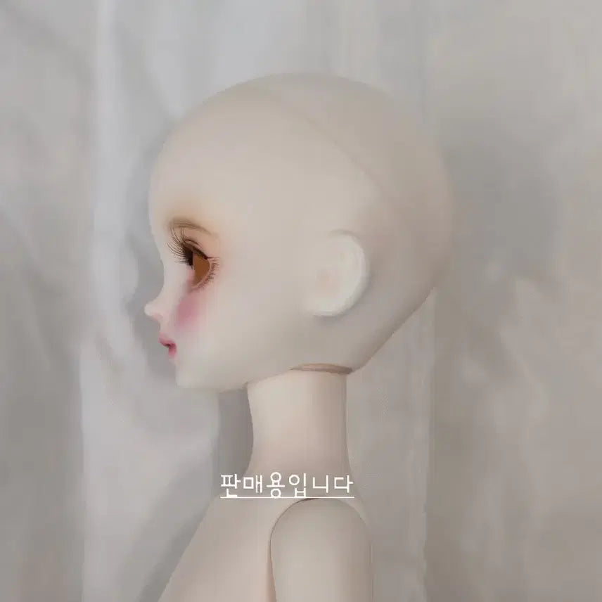 [SOLD OUT] 치카비 베이비멜로디 31바디 본체