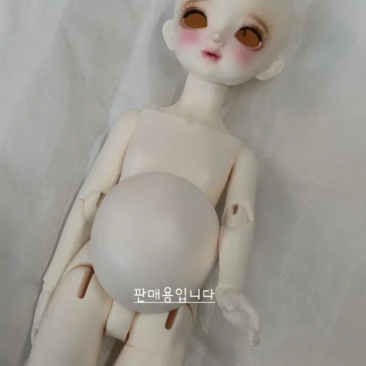 [SOLD OUT] 치카비 베이비멜로디 31바디 본체