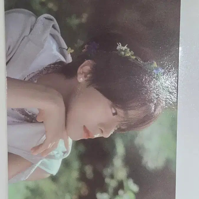 [BUNJANG] ENWISH Rico Postcard / 엔위시 리쿠 엽서