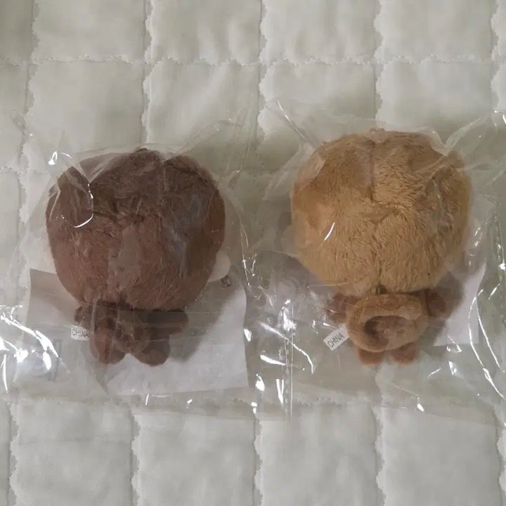 [BUNJANG] BOYNEXTDOOR TaeSan &amp; WoonHak Doll Set / 탯숭이 운싱이 보이넥스트도어 보넥도 태산 운학 인형