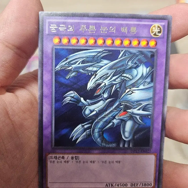 [BUNJANG] Yu-Gi-Oh! Ultimate Blue-Eyes White Dragon Card / 유희왕 궁극의 푸른 눈의 백룡 카드 울