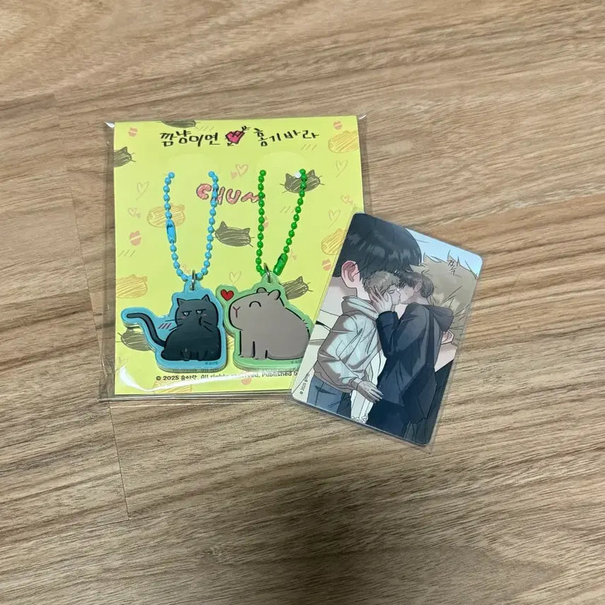 [BUNJANG] Hongseok Hongsil Quest Acrylic Magnet / 홍퀘 뽀뽀자석아크릴 홍실퀘스트