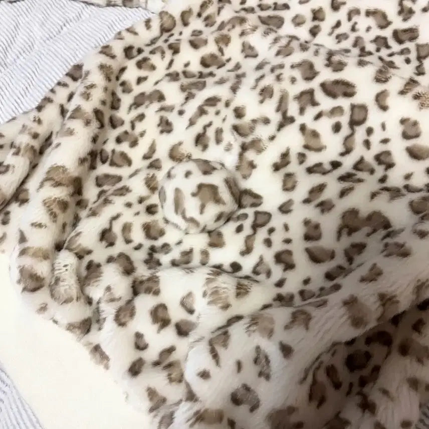 [SOLD OUT] 오늘만이가격+택포) 앙크루즈 호피무늬 레오파드 갸루 네코미미 라떼오네갸루