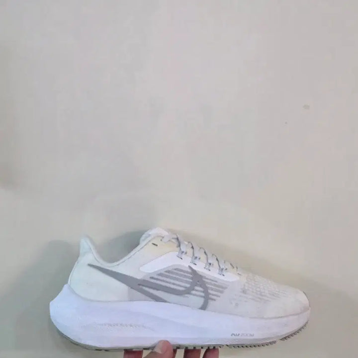 [BUNJANG] Nike Air Zoom Pegasus 39 &