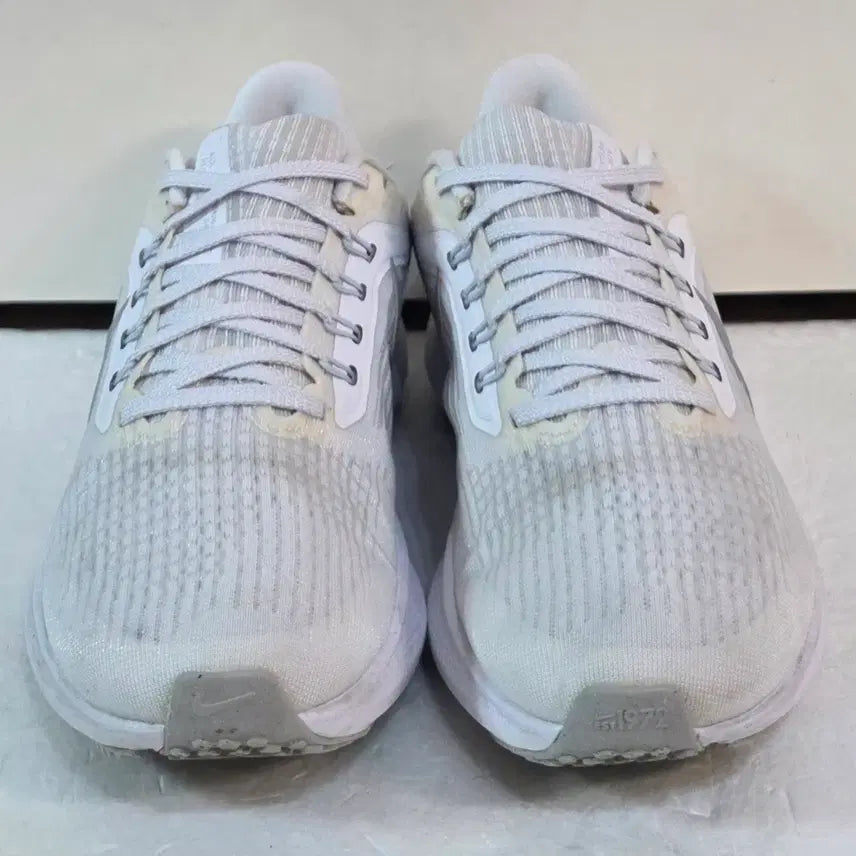 [BUNJANG] Nike Air Zoom Pegasus 39 &
