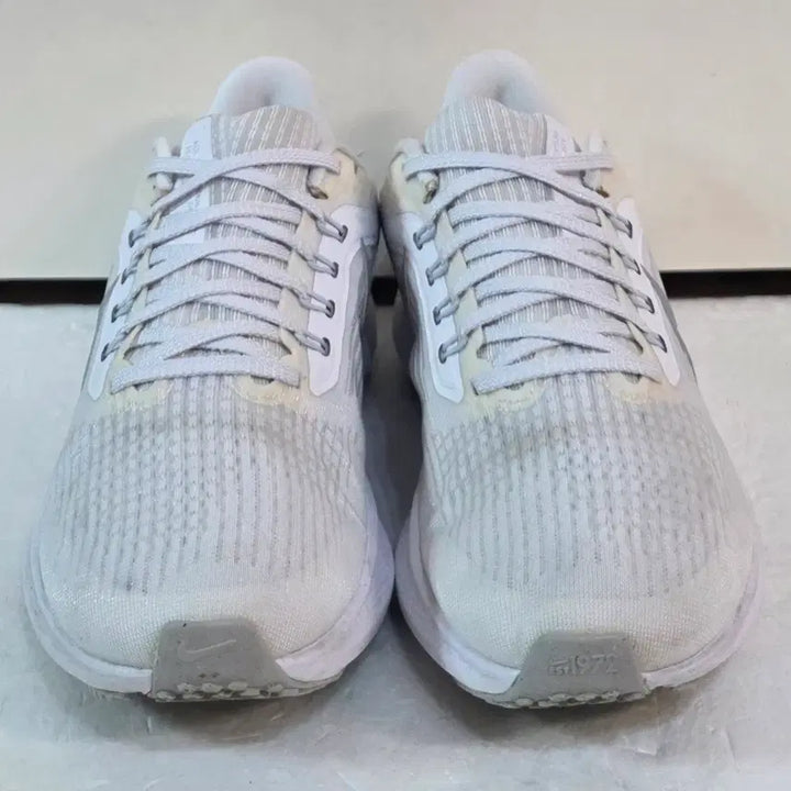 [BUNJANG] Nike Air Zoom Pegasus 39 &