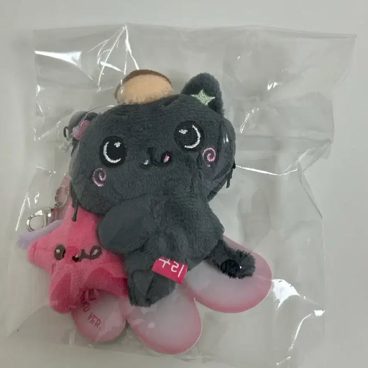 [BUNJANG] NCT WISH Riku Mini Doll / 미니돌 쿠리 엔시티위시 리쿠 인형