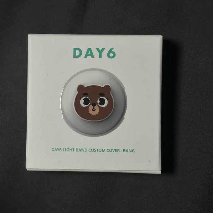 [BUNJANG] Day6 Denimalz Made Watch Custom Bang Cover Sungjin / [미개봉] 데이식스 양도 데니멀즈 마데워치 커스텀 방 데멀방 커버 성진