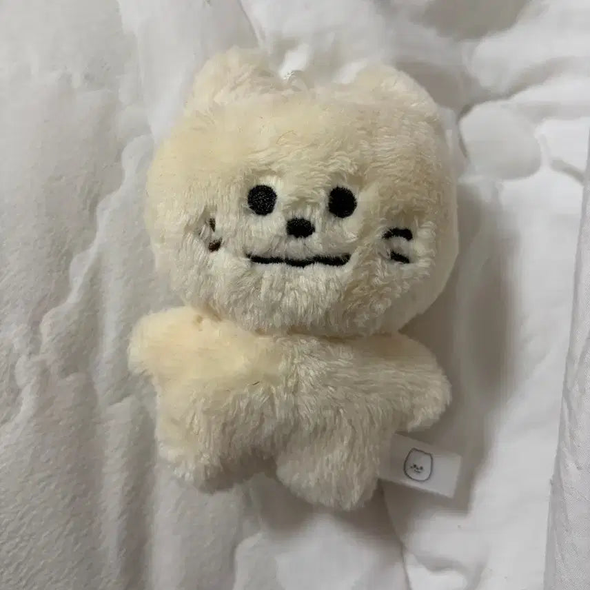 [SOLD OUT] 모짜빈