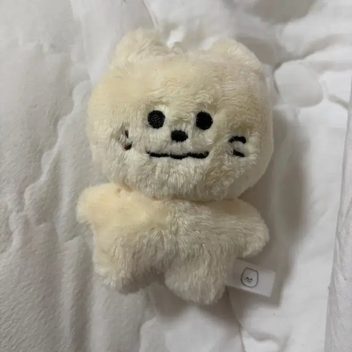 [SOLD OUT] 모짜빈