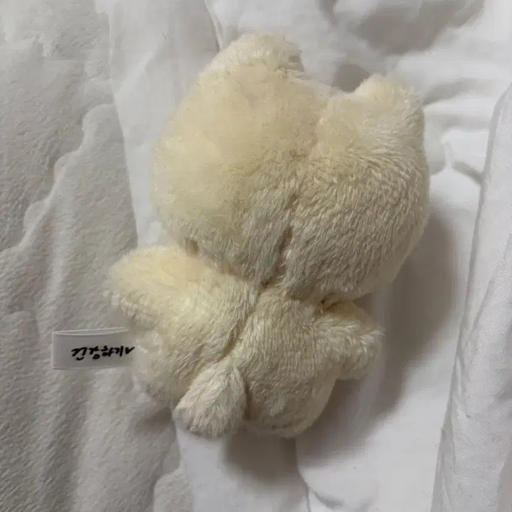 [SOLD OUT] 모짜빈