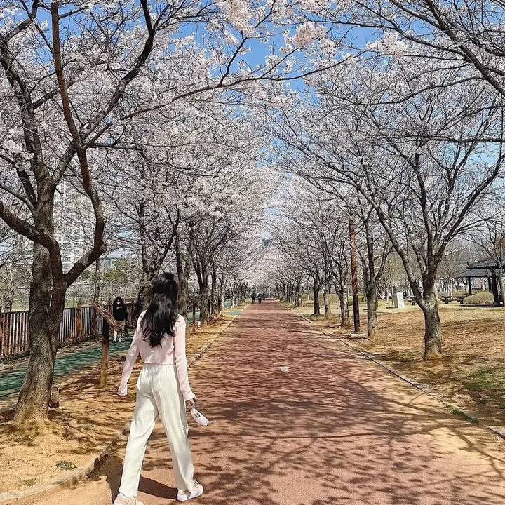 [BUNJANG] Nike Air Force 1 Sage Low Sneakers / 나이키 에어포스1 세이지로우 225