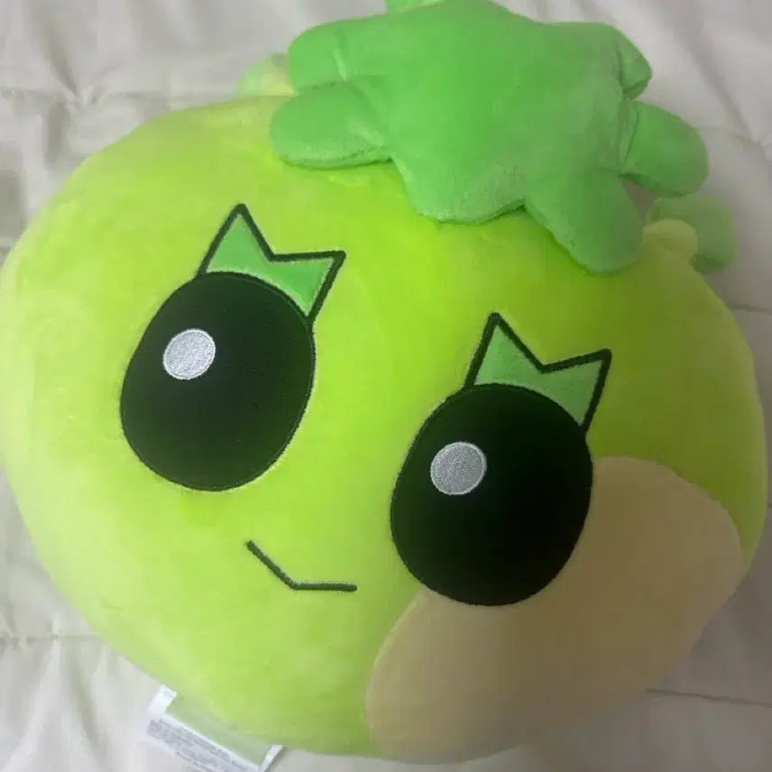 [BUNJANG] BOYNEXTDOOR Leehan Cushion / 보넥도 이한 쿠션