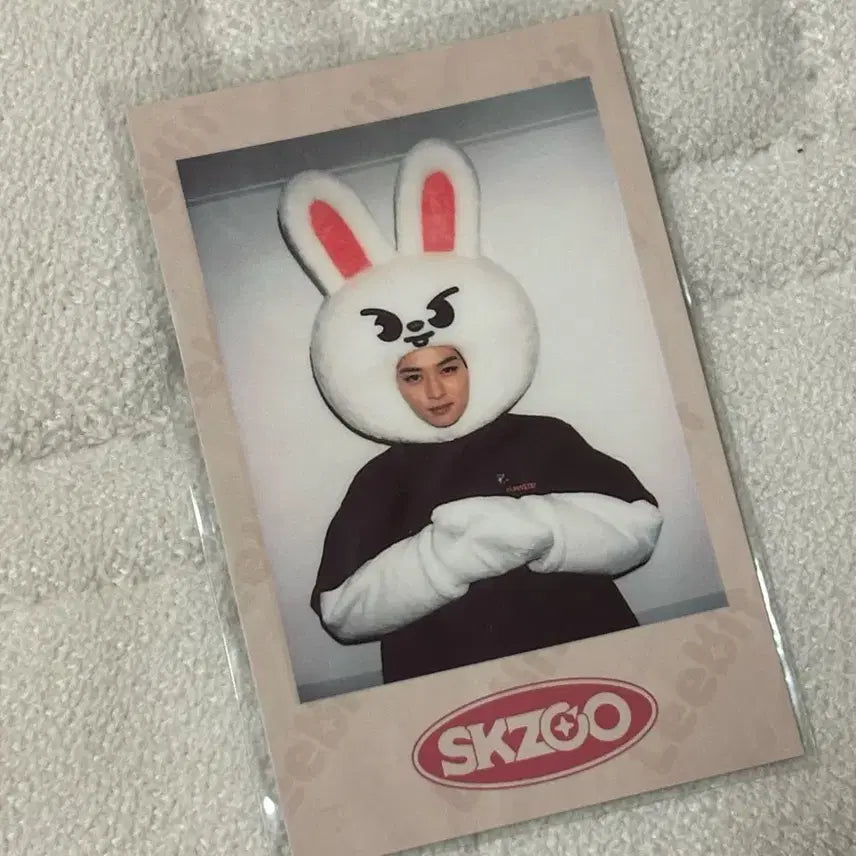 [BUNJANG] Stray Kids Lee Know SKZOO Photocard / Stray Kids 스키즈 포토카드 SKZOO 리노 스키주 짭폴라