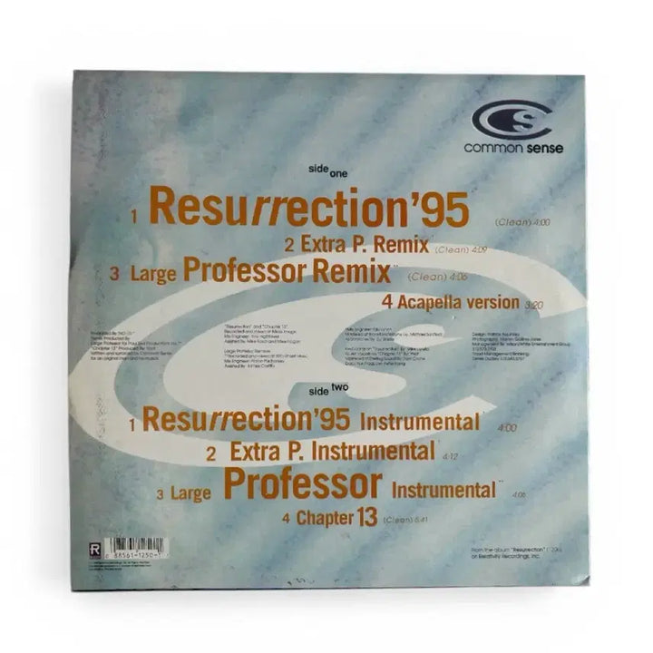 [BUNJANG] Common Sense Resurrection LP / 1995 Common Sense Resurrection LP