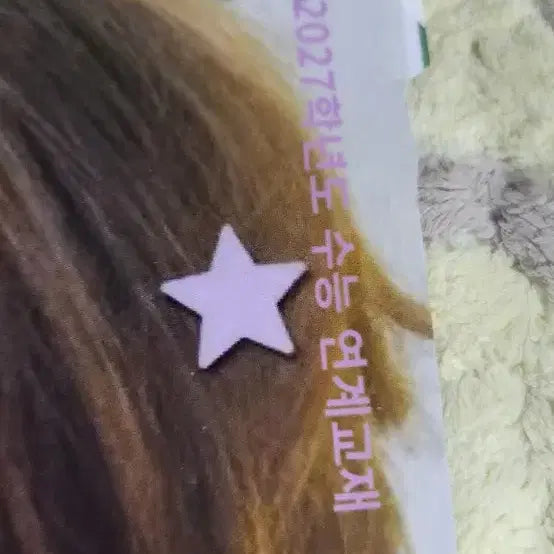 [BUNJANG] NCT WISH Jaehee Suneung Textbook Cover Sticker / 수특 수능특강 표지 스티커 엔시티 위시 재희 사회문화