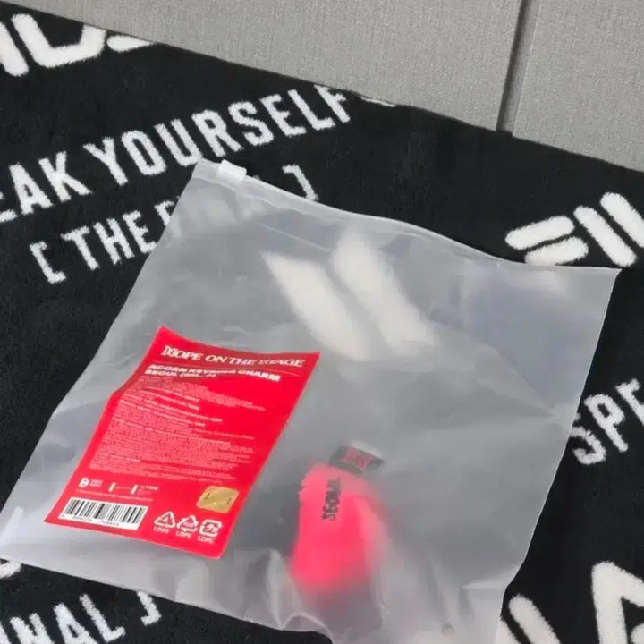 [BUNJANG] J-Hope Seoul Dotori Keyring / (미개봉) 제이홉 도토리 키링 서울