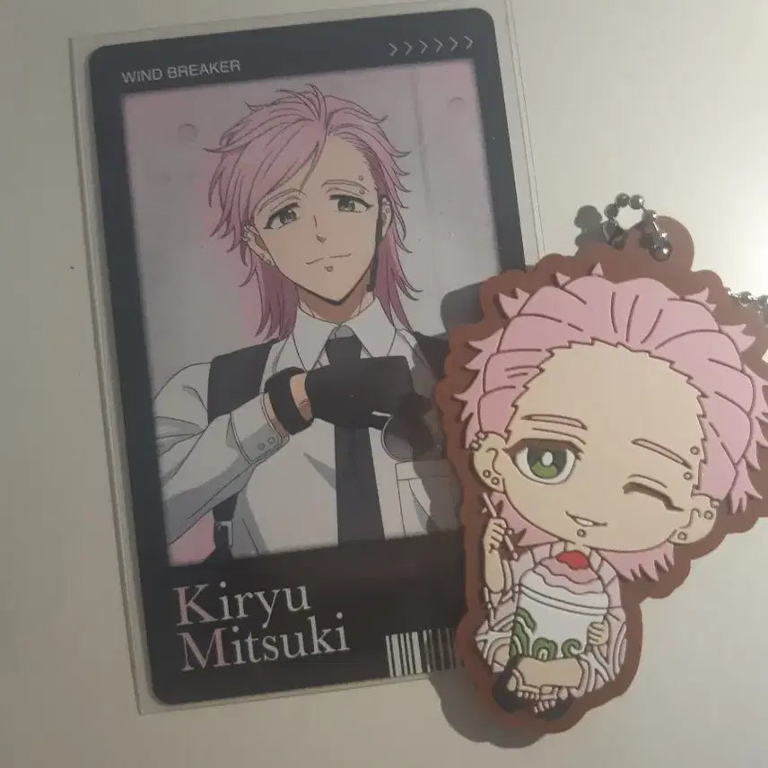 [BUNJANG] Wind Breaker Kiryu Mitsuki Bundle Set / 윈드브레이커 키류 미츠키 일괄