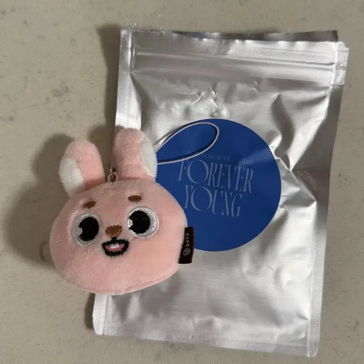 [BUNJANG] DAY6 Jae Mini Face Keyring / 데이식스 미니페이스키링 필