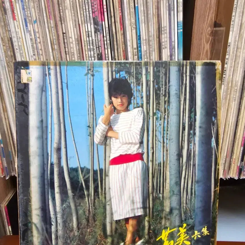 [BUNJANG] Bomi 6th Album LP Record / 방미 6집 LP 레코드