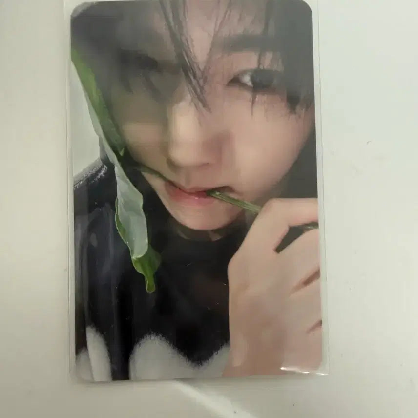 [BUNJANG] ZEROBASEONE Han Yu Jin Photocard / 제로베이스원 제베원 한유진 포카