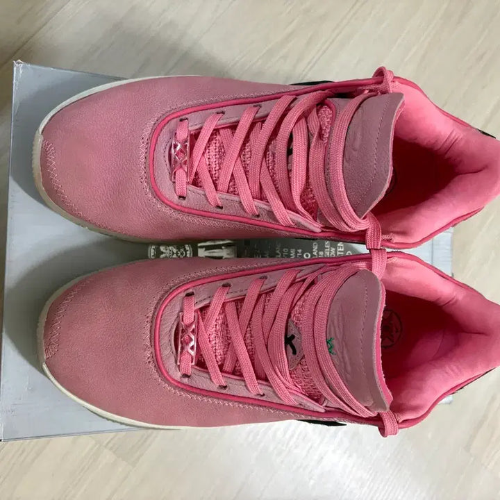 [BUNJANG] Nike LeBron 20 Basketball Shoes (270mm) / 나이키 르브론20 270mm