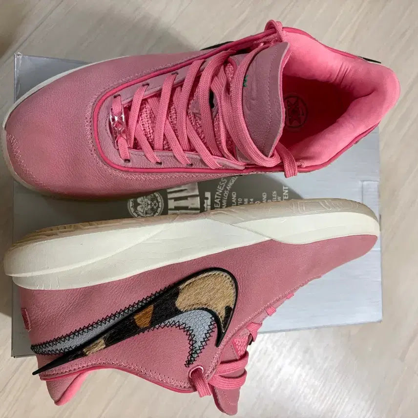 [BUNJANG] Nike LeBron 20 Basketball Shoes (270mm) / 나이키 르브론20 270mm