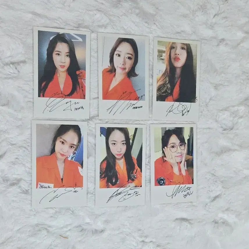 [BUNJANG] Apink Pink Space Concert DVD / 에이핑크 Pink Space 콘서트 DVD